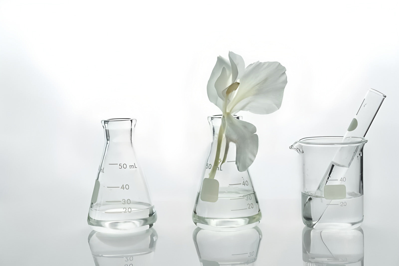 Oligomeric Proanthocyanidins (OPCs) + Liquid Crystal Chitosan